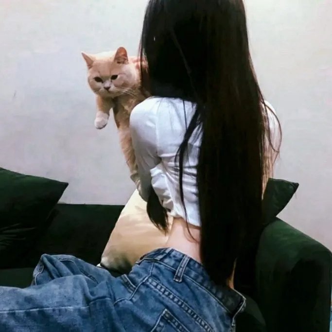 家有悍妇